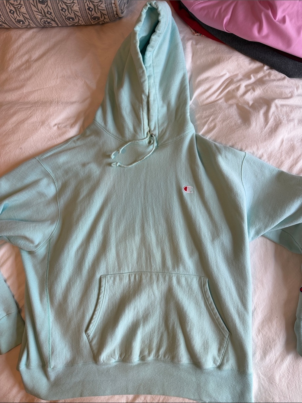 Champion mint green hoodie